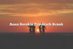 Anna Sorokin Psychisch Krank