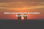 Arbeit und psychische Gesundheit Gesetz 2013