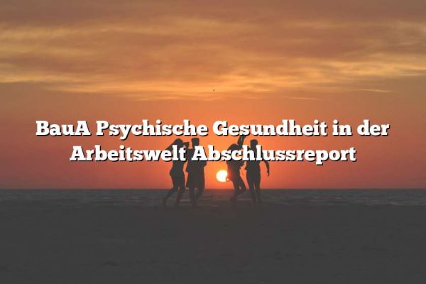 BauA Psychische Gesundheit in der Arbeitswelt Abschlussreport