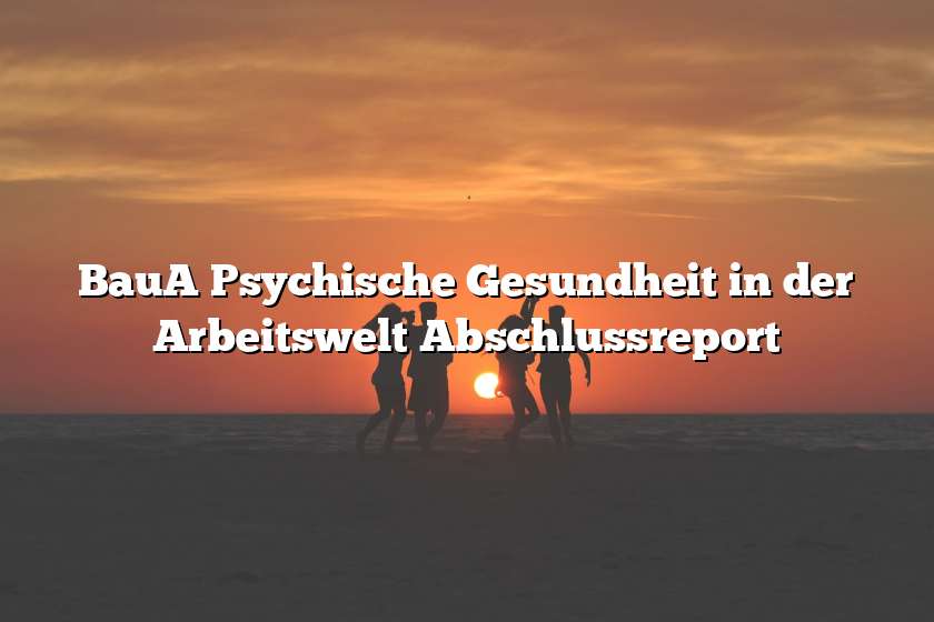 BauA Psychische Gesundheit in der Arbeitswelt Abschlussreport