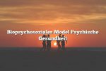 Biopsychosoziales Model Psychische Gesundheit