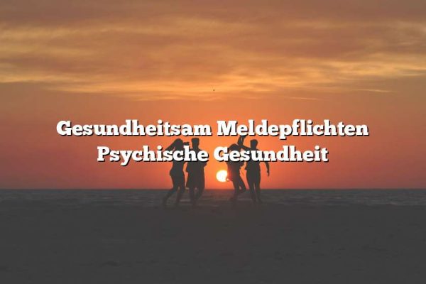 Gesundheitsam Meldepflichten Psychische Gesundheit