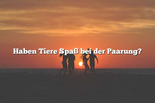 Haben Tiere Spaß bei der Paarung?