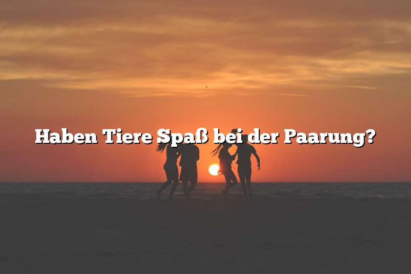 Haben Tiere Spaß bei der Paarung?