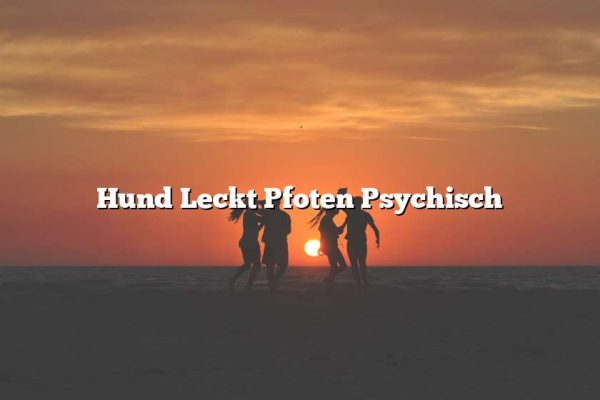 Hund Leckt Pfoten Psychisch