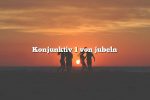 Konjunktiv 1 von jubeln