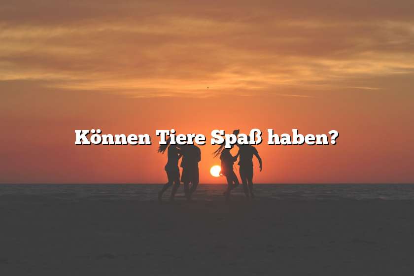 Können Tiere Spaß haben?