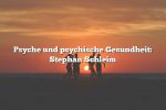 Psyche und psychische Gesundheit: Stephan Schleim