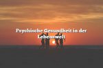 Psychische Gesundheit in der Lebenswelt