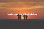 Psychische Grundbedürfnisse