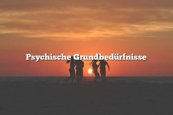 Psychische Grundbedürfnisse