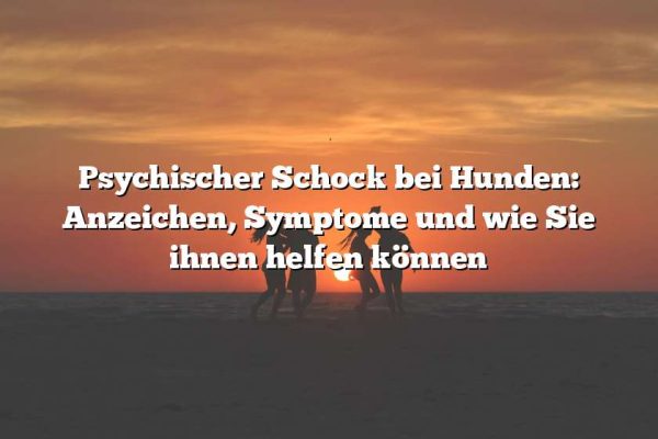 Psychischer Schock bei Hunden: Anzeichen, Symptome und wie Sie ihnen helfen können