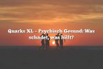 Quarks XL – Psychisch Gesund: Was schadet, was hilft?