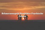 Schmerzensgeld Hundebiss Psychische Folgen