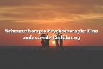 Schmerztherapie Psychotherapie: Eine umfassende Einführung