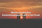 Welche psychischen Entwicklungsphasen gibt es bei Freud