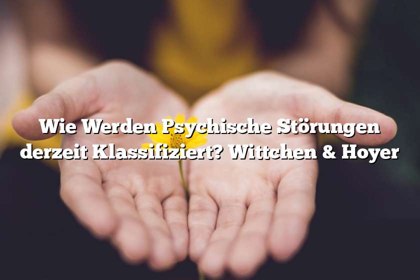 Wie Werden Psychische Störungen derzeit Klassifiziert? Wittchen & Hoyer