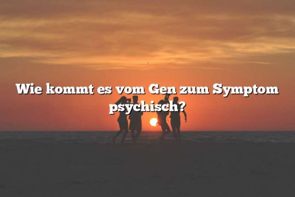 Wie kommt es vom Gen zum Symptom psychisch?