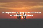 Wie reguliert die Lymph aus Stress und psychischer Belastung