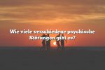 Wie viele verschiedene psychische Störungen gibt es?