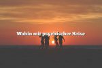 Wohin mit psychischer Krise