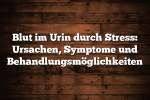 Blut im Urin durch Stress: Ursachen, Symptome und Behandlungsmöglichkeiten