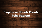 Empfinden Hunde Freude beim Paaren?