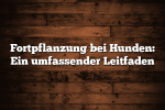 Fortpflanzung bei Hunden: Ein umfassender Leitfaden