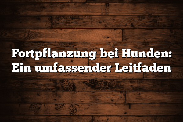 Fortpflanzung bei Hunden: Ein umfassender Leitfaden