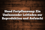 Hund Fortpflanzung: Ein Umfassender Leitfaden zur Reproduktion und Aufzucht