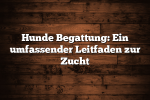 Hunde Begattung: Ein umfassender Leitfaden zur Zucht