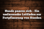 Hunde paaren sich – Ein umfassender Leitfaden zur Fortpflanzung von Hunden