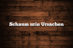 Schaum urin Ursachen