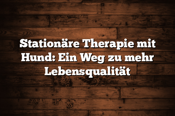 Stationäre Therapie mit Hund: Ein Weg zu mehr Lebensqualität