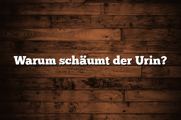 Warum schäumt der Urin?