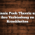 Winnie Pooh Theorie und ihre Verbindung zu Krankheiten